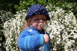 Mehr über den Artikel erfahren Ein kleiner Ostergruß