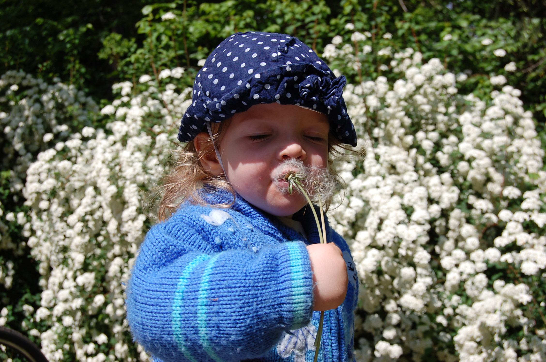Du betrachtest gerade Ein kleiner Ostergruß